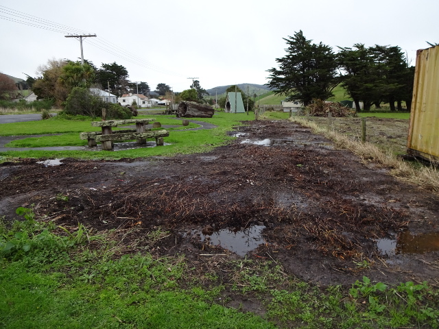 The village green with flax bushes removed
