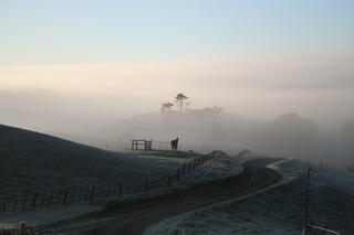 Winter Morning in Pongaroa